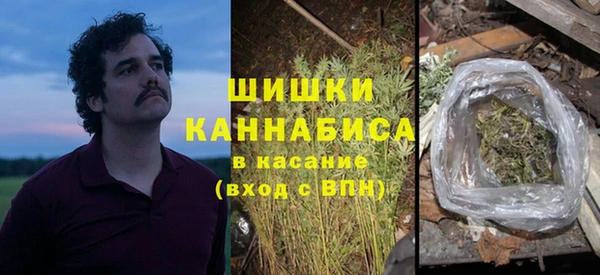 винт Абаза