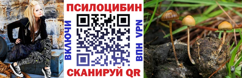 Галлюциногенные грибы прущие грибы  mega вход  Железногорск-Илимский 